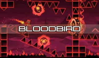 Dashmetry Bloodbird
